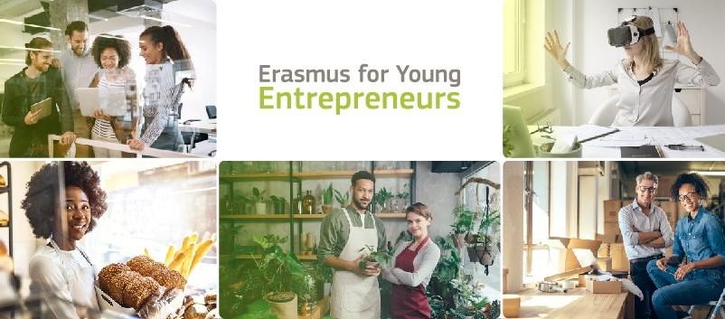 Entrepreneurs from Italy share experience and knowledge