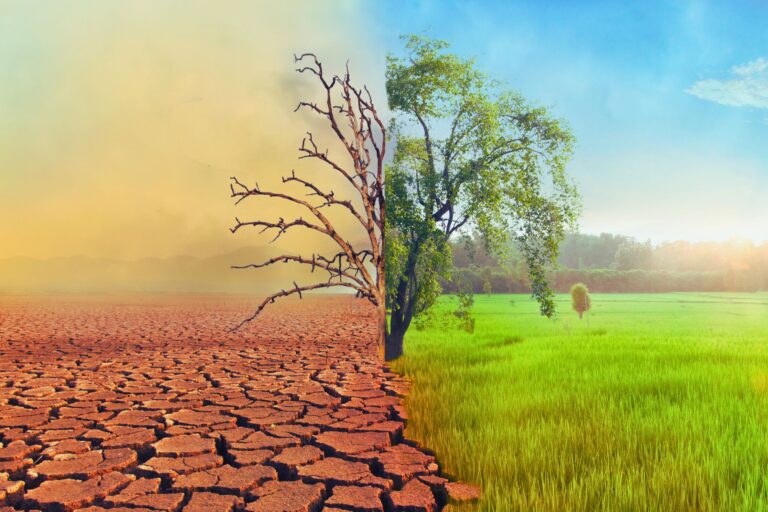Join our "Green Change Agents" initiative