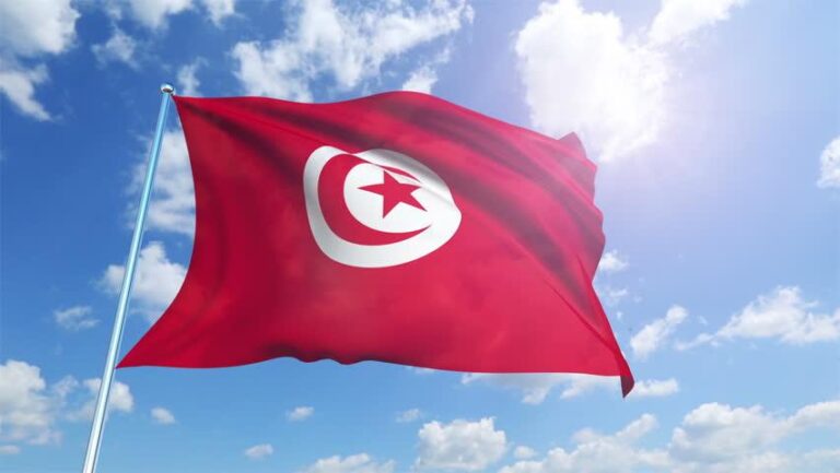 Presentation of Tunisia's economy and investment environment, February 27, 2019, Sofia